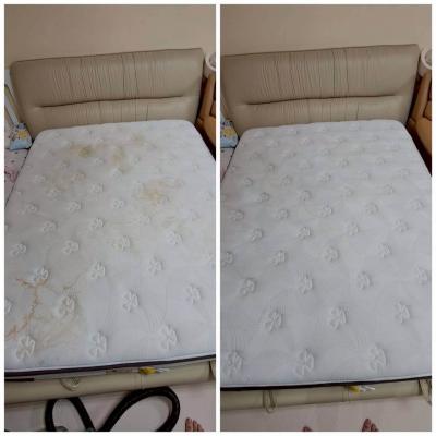 Get Rid Of Dust Mites 10