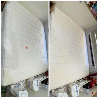 Get Rid Of Dust Mites 1