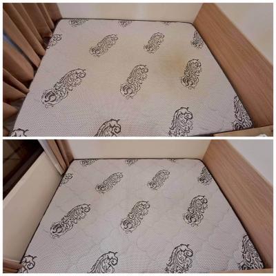 Get Rid Of Dust Mites 6