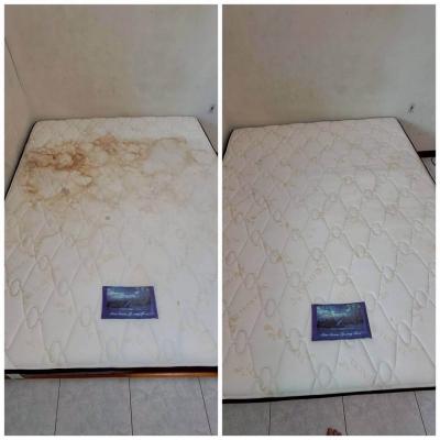 Get Rid Of Dust Mites 8
