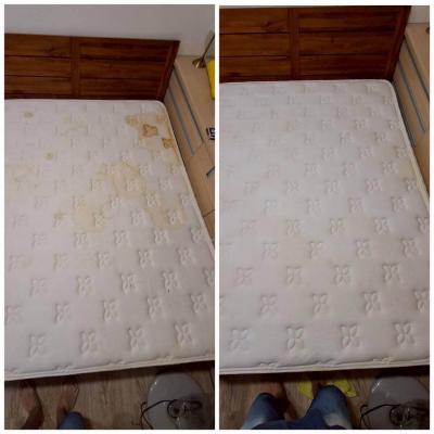 Get Rid Of Dust Mites 9